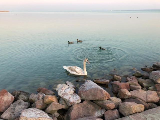 Hotel Astoria Balatonfüred Eksteriør bilde